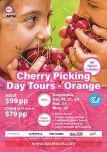 1 day cherry picking tours 2024