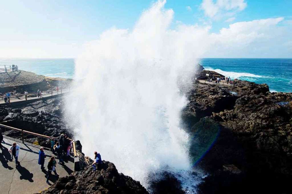 Blowhole