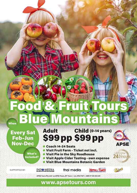 Fruit picking Tours at the Blue Mountain