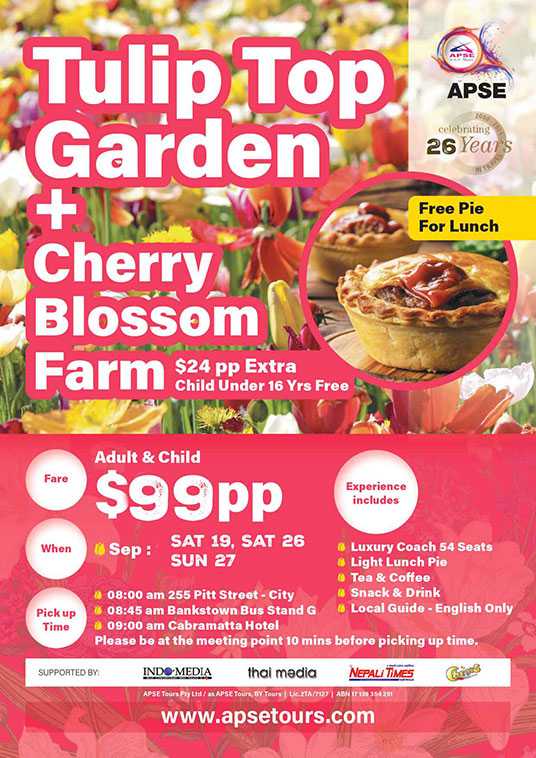 1 Day Floriade - Cherry Blossom Tours in Sydney